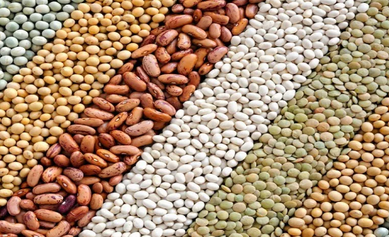 Legumes: Blood Sugar Stability = Less Cortisol